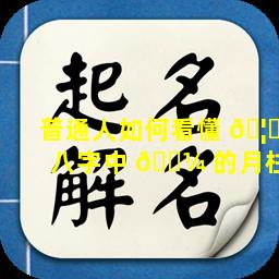 普通人如何看懂 🦁 八字中 🌼 的月柱